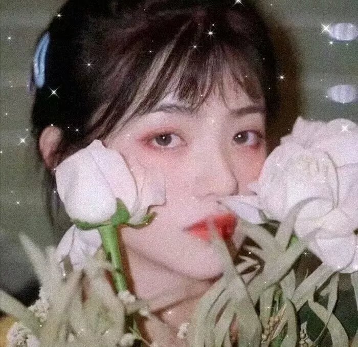 月亮和六便士